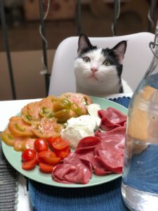 croquette chat dietetique