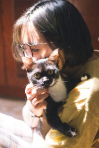 nourriture chat
