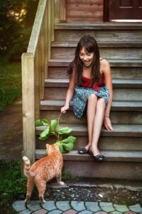 vitamines pour chat