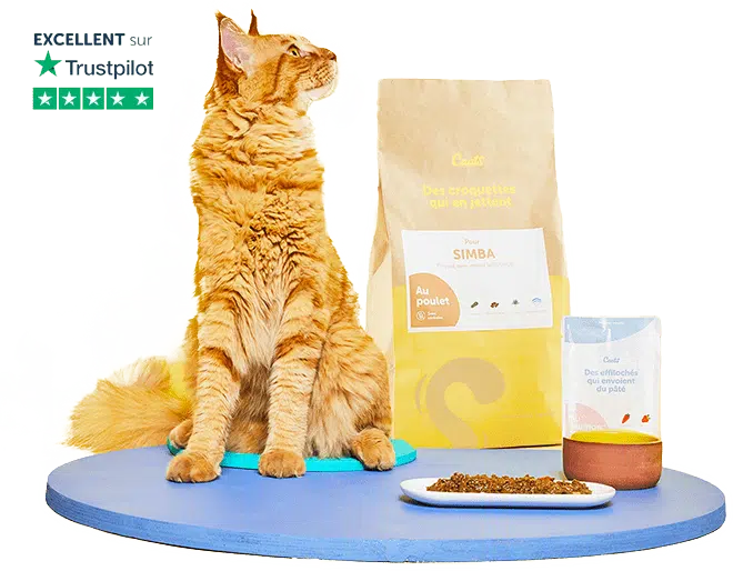 Purina ONE® Chat - Croquettes et sachets haute nutrition pour chat