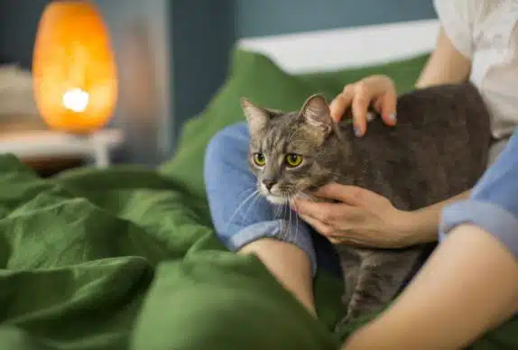 chat,chat sans céréale,chat sans céréales,chats,croquette,croquette chat sans céréale,croquette sans céréale,croquette sans céréales,croquettes,croquettes chat,croquettes chat sans cereales,croquettes chat sans céréales,croquettes chats sans,croquettes chats sans céréales,croquettes sans,croquettes sans cereales,croquettes sans céréale,croquettes sans céréales,croquettes sans céréales chat,céréales,sans,sans cereales,sans céréale chat,sans céréales,sans céréales chat