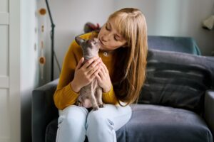 Croquettes pour chat Sphynx