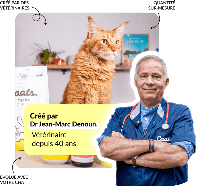 Jean marc-caats