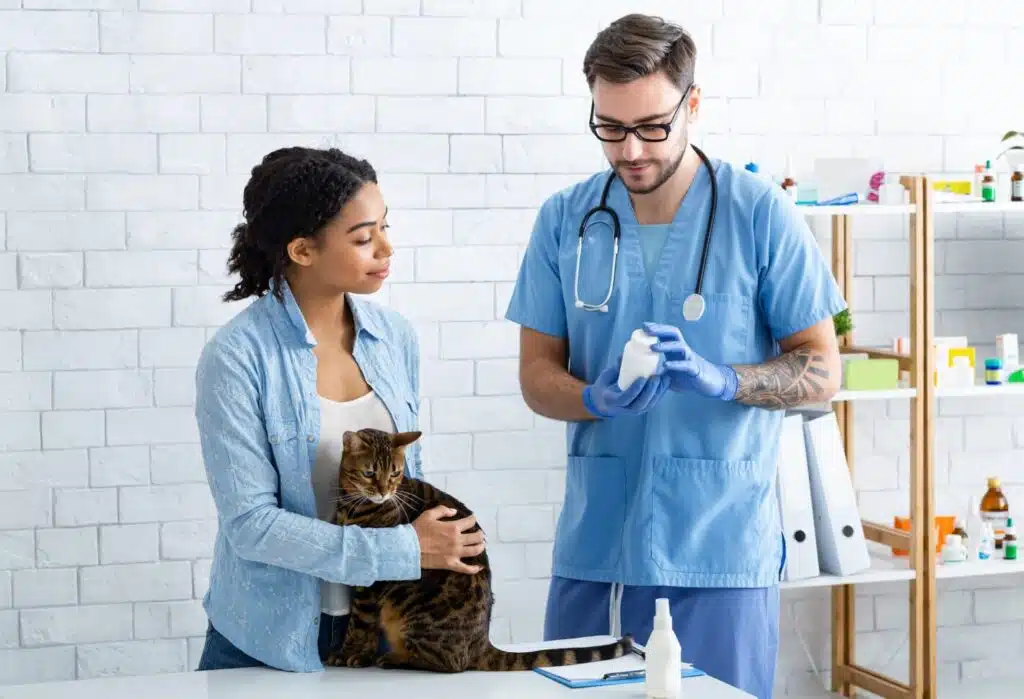 Vermifugez Votre Chaton pour Garantir sa Santé et son Bien-être