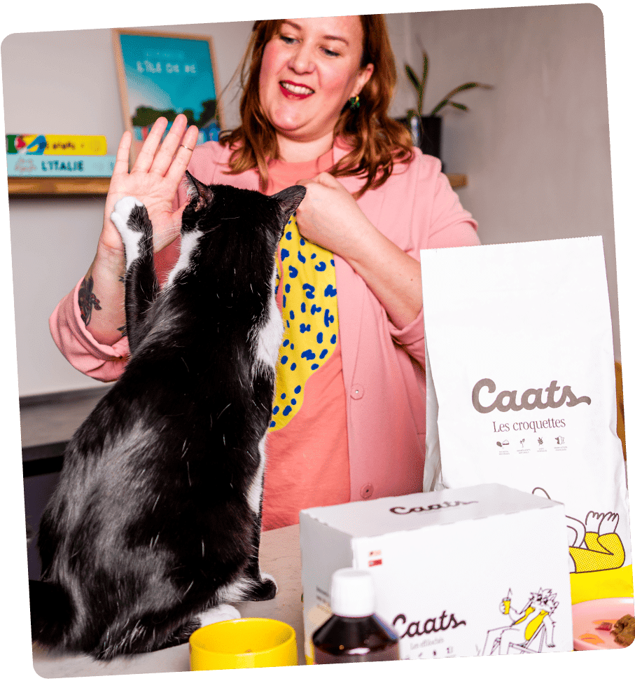 chat et humain heureux du prix juste