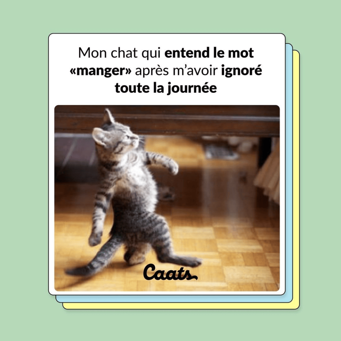 Top 10 Des Memes Sur Les Chats Les Plus Dr les Caats top-10-des-memes-sur-les-chats-les-plus-dr-les-caats