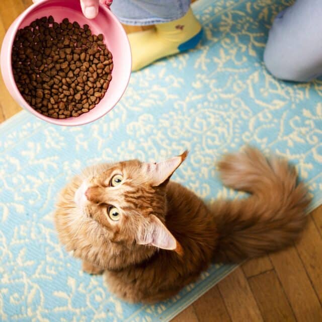 CAATS_SHOOTING-290