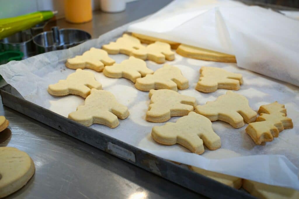 biscuits chat