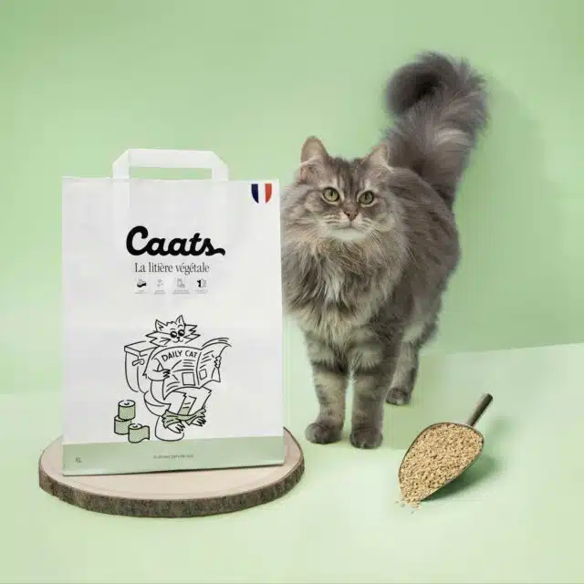 litiere végétale pour chat