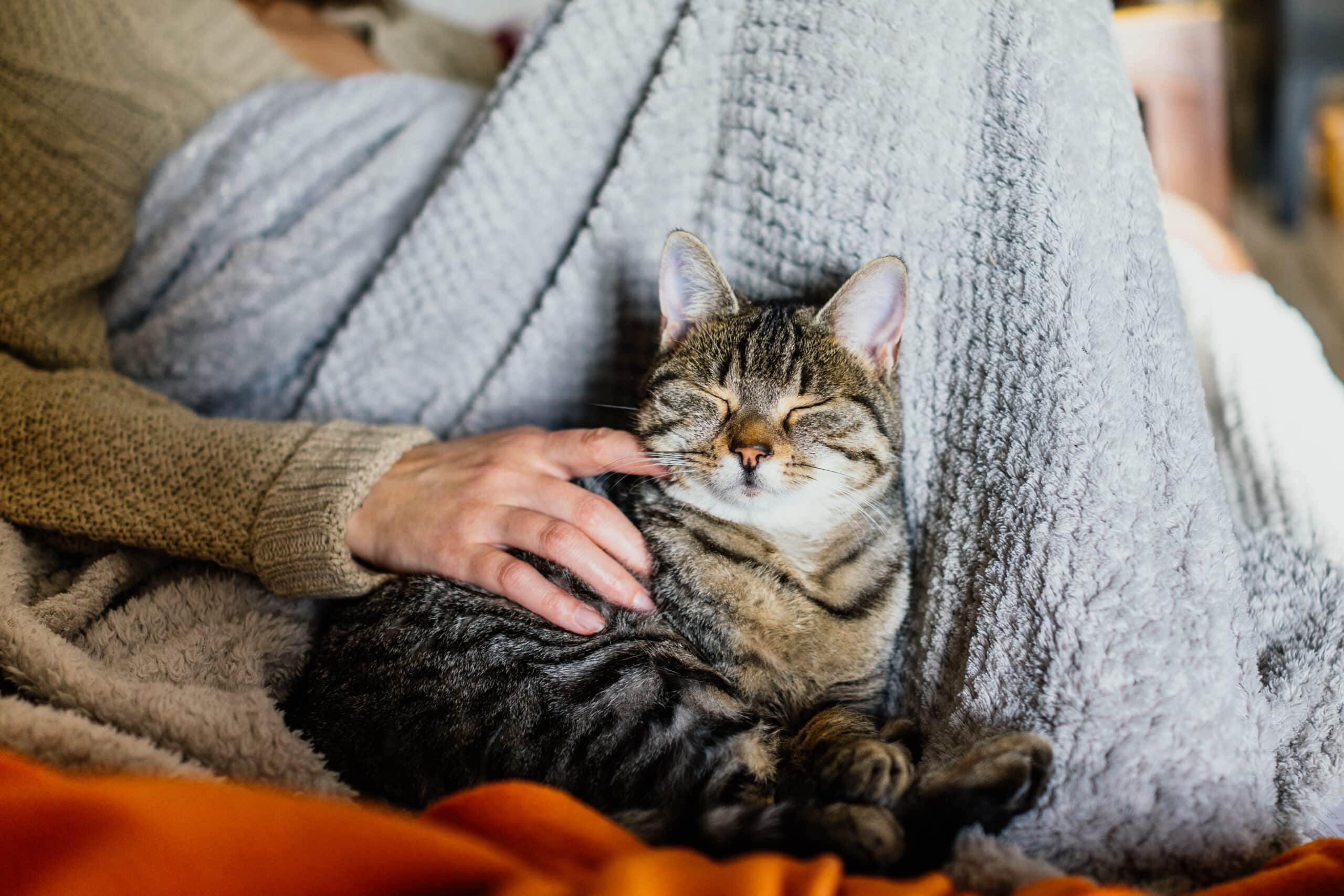 Faire son deuil après la perte d