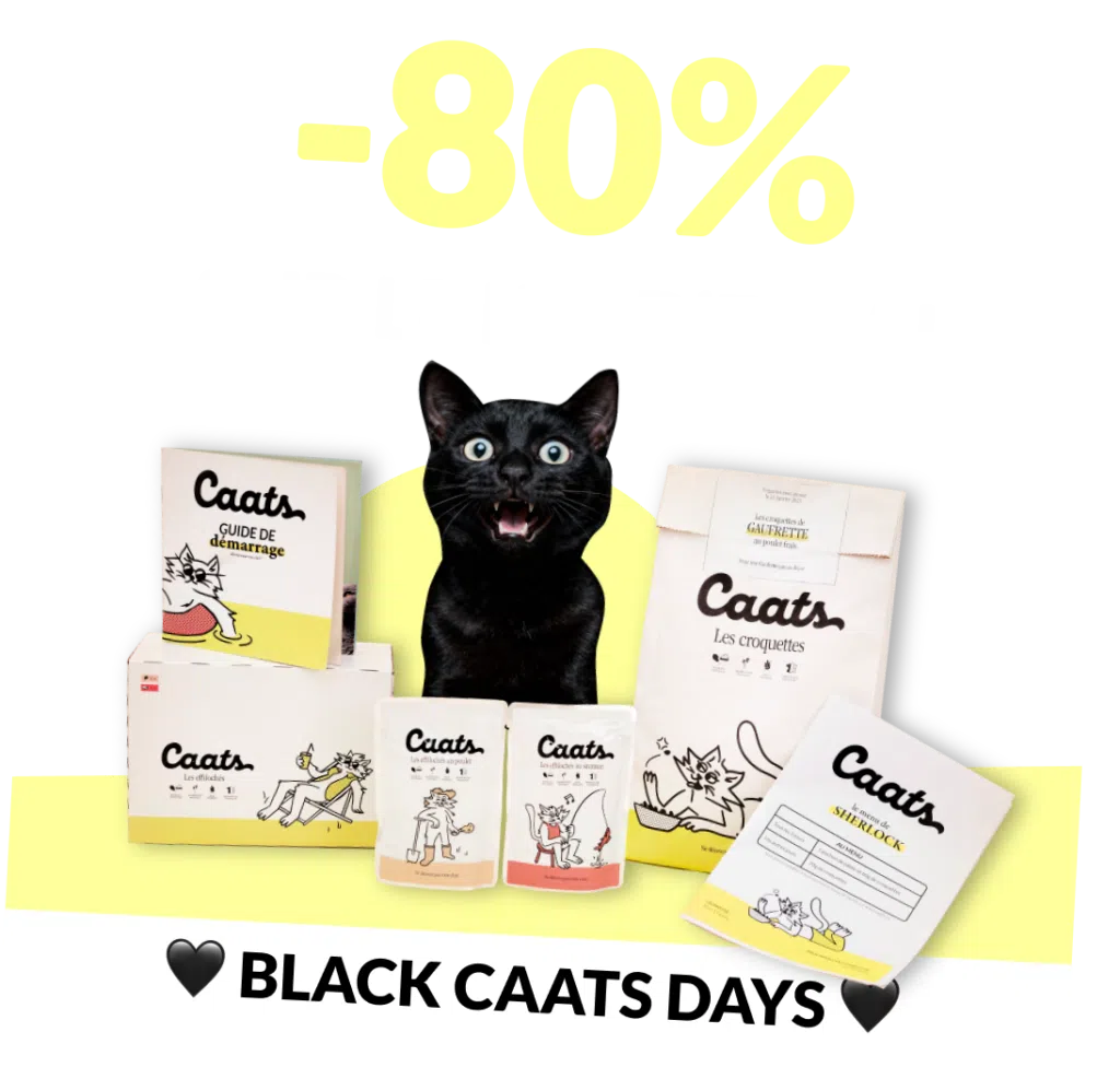 croquette chat black fridays -80%