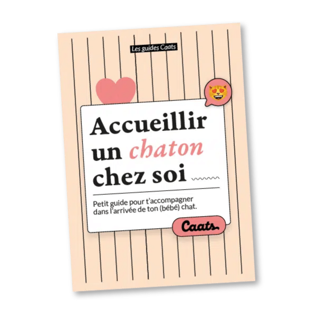 Guide / livret pour accueillir un chaton chez toi