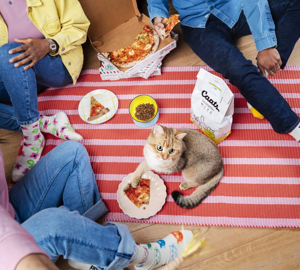 comment savoir si mon chat mange assez