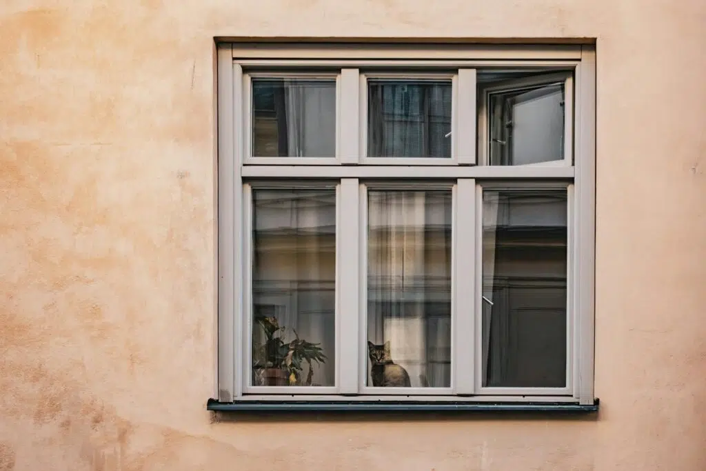 A calm cat sits by a window in a Stockholm apartment, capturing a peaceful indoor scene.