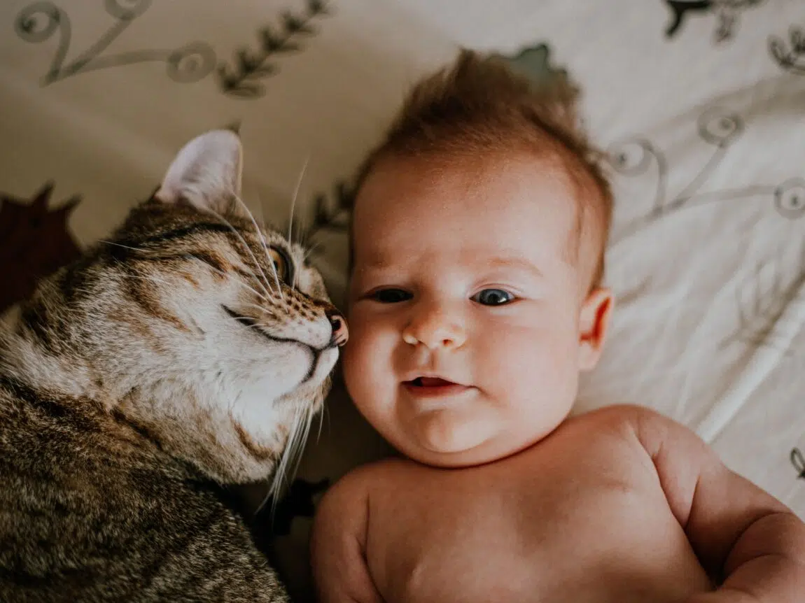 chat et bébé