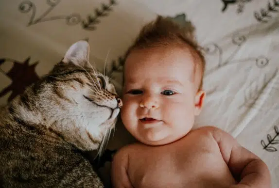 chat et bébé