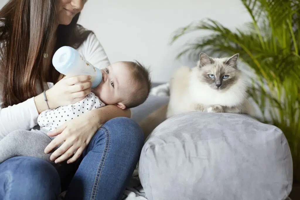 Chat et bébé