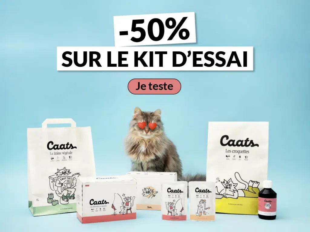 promo croquettes chat