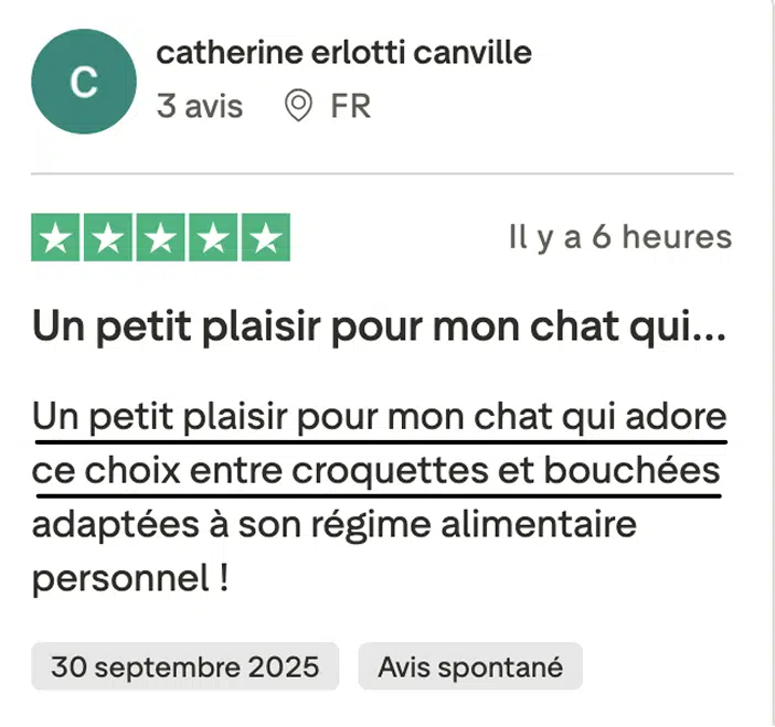 caats-avis-truspilot-catherine-erlotti-canville