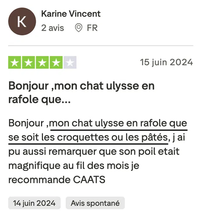 caats-avis-truspilot-karine-vincent
