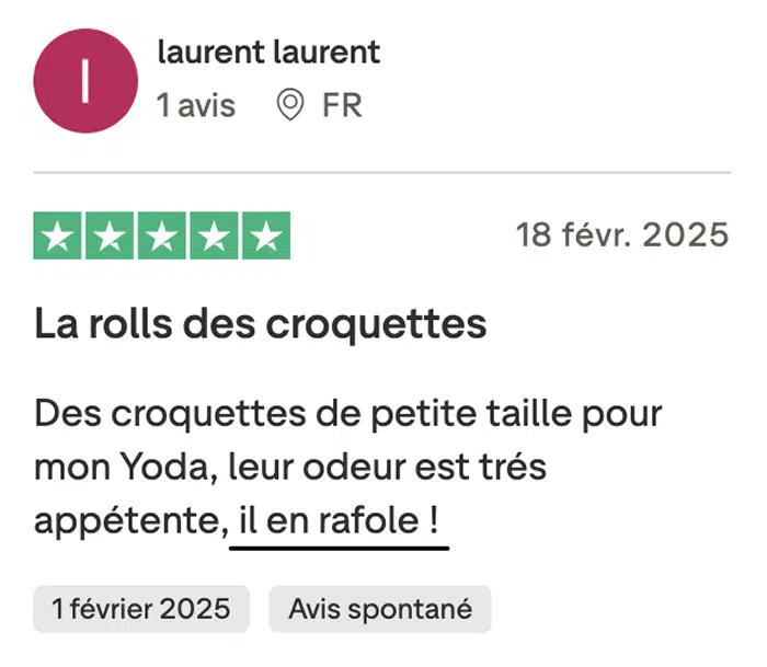 caats-avis-truspilot-laurent-laurent