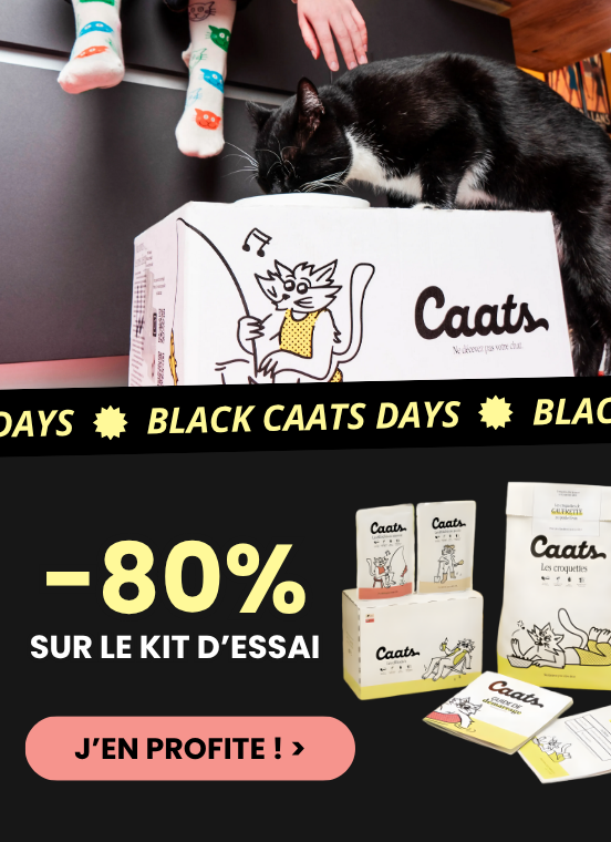 croquettes black friday