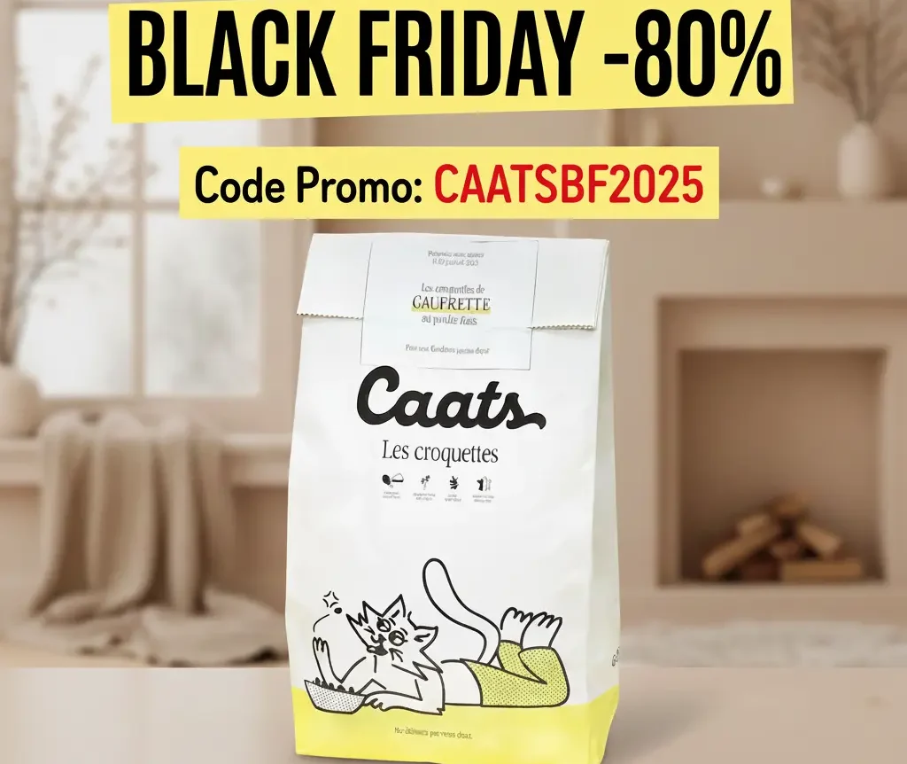 black friday croquette chat -80%
