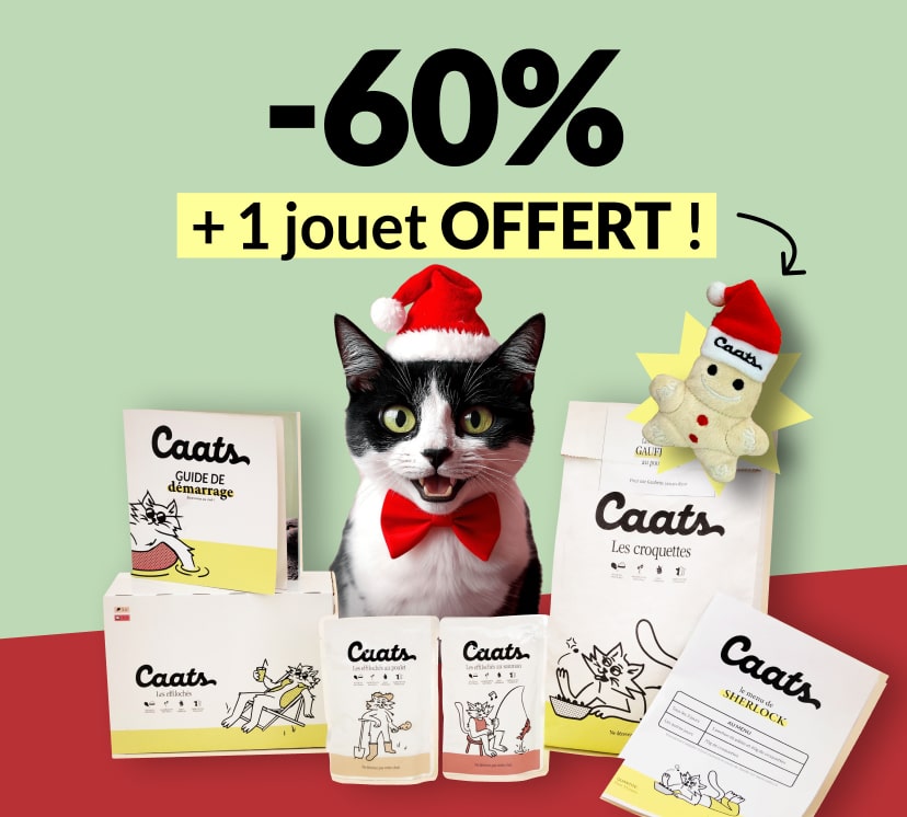 idée cadeau noel chat