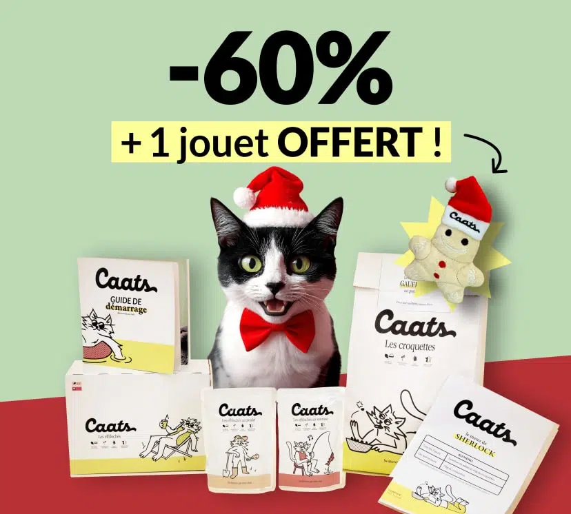 idée cadeau noel chat