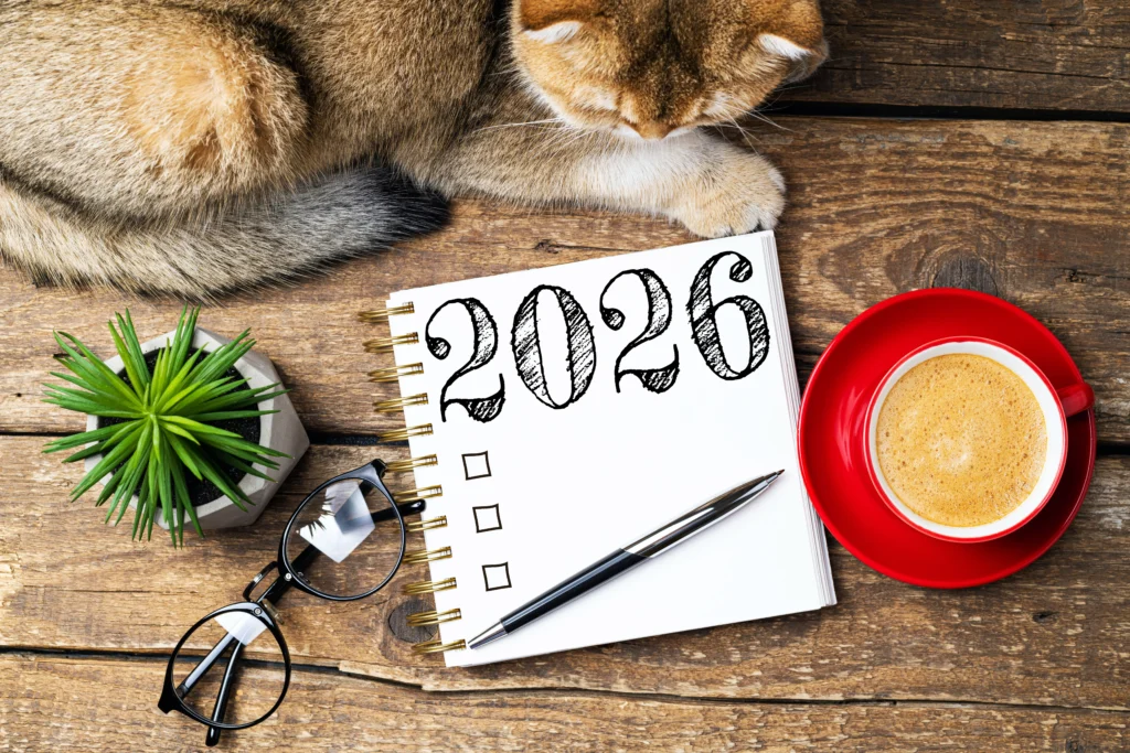 nouvelle résolution 2026 avec ton chat
