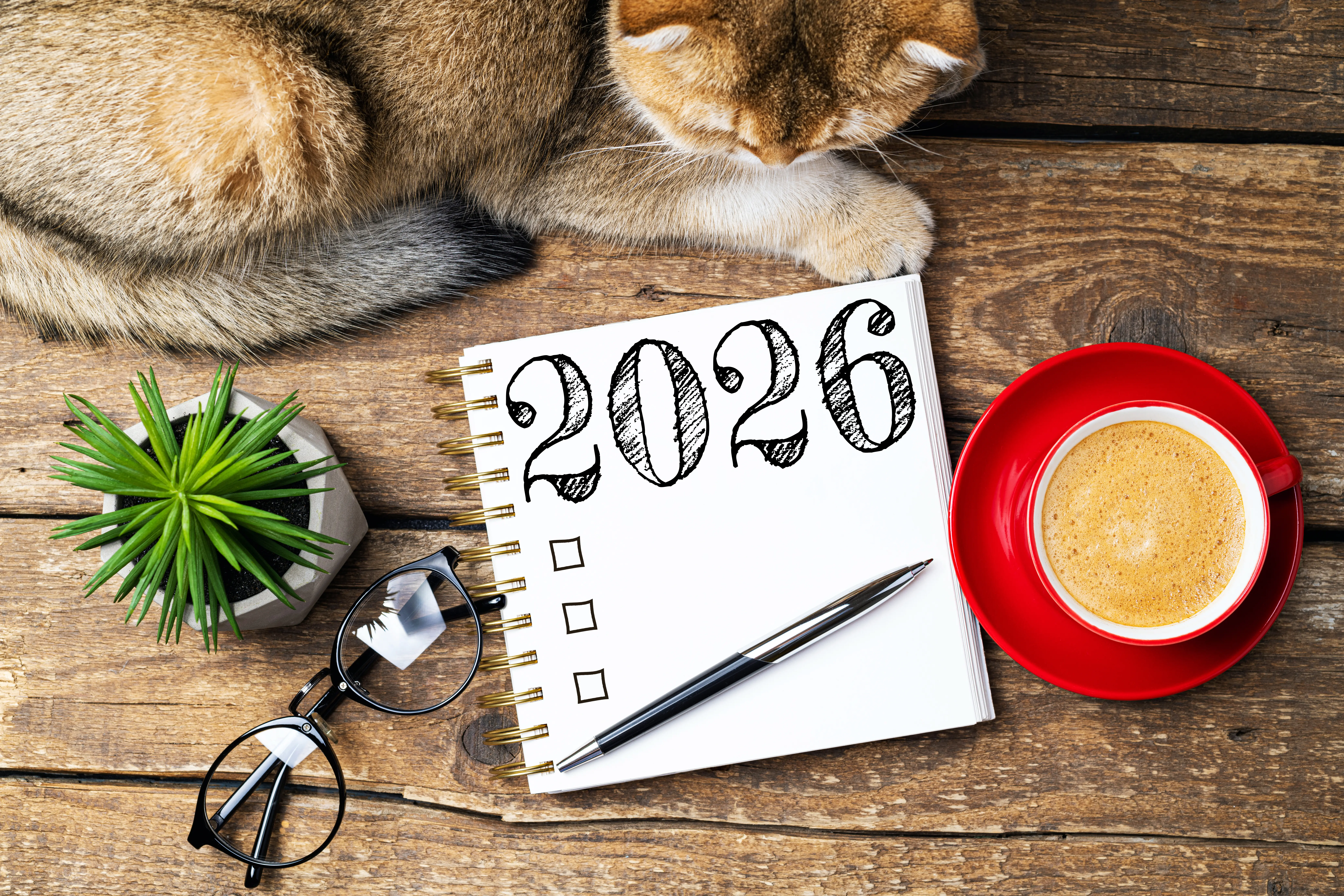 nouvelle résolution 2026 avec ton chat