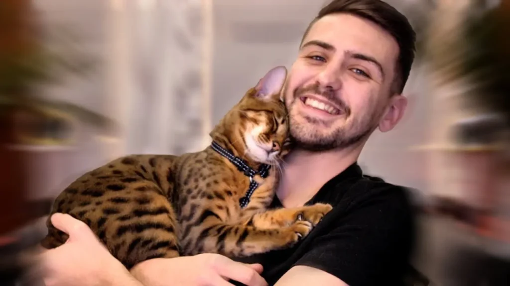 Nevada le chat de Joyca