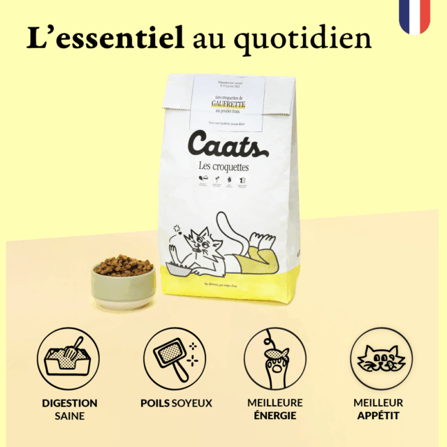 1 V2 croquette stérilisé