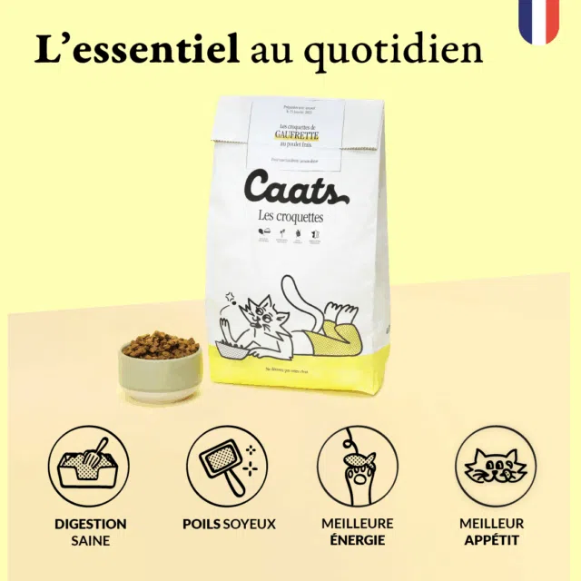 1 V2 croquette stérilisé
