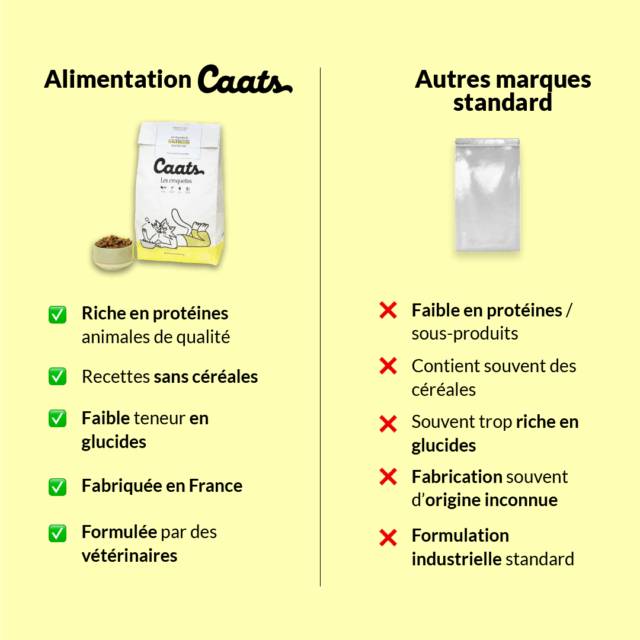 3 V2 croquette stérilisé