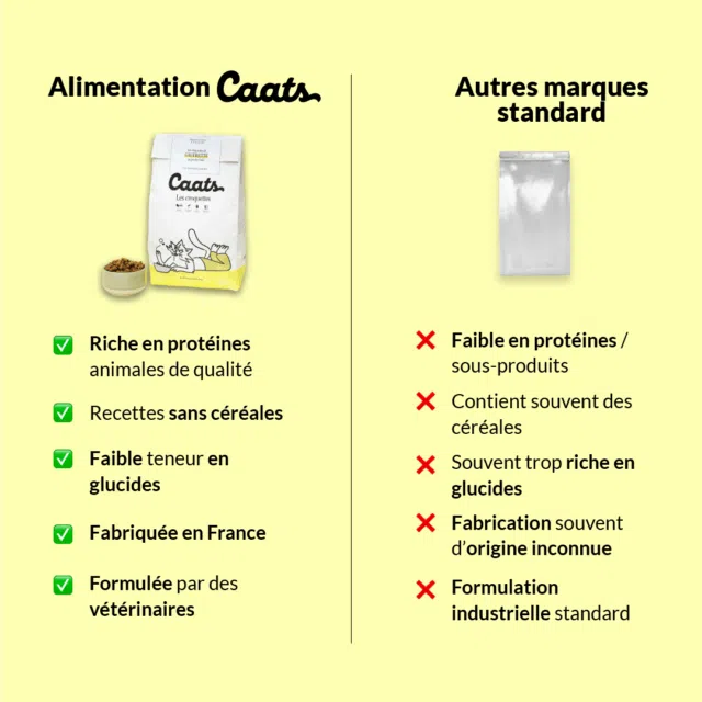 3 V2 croquette stérilisé