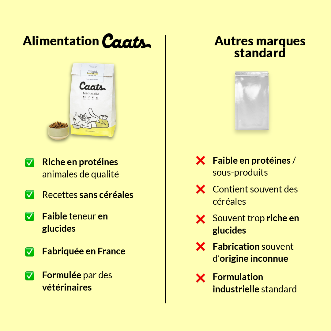 3 V2 croquette stérilisé