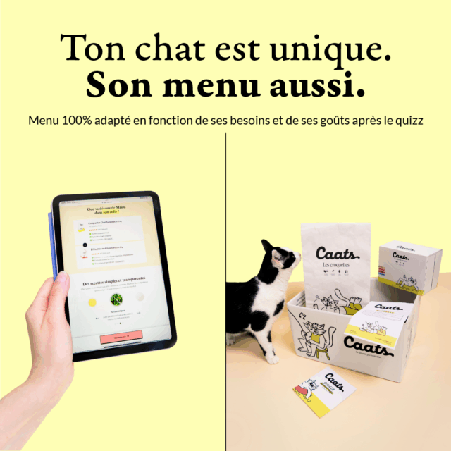 4 croquette stérilisé