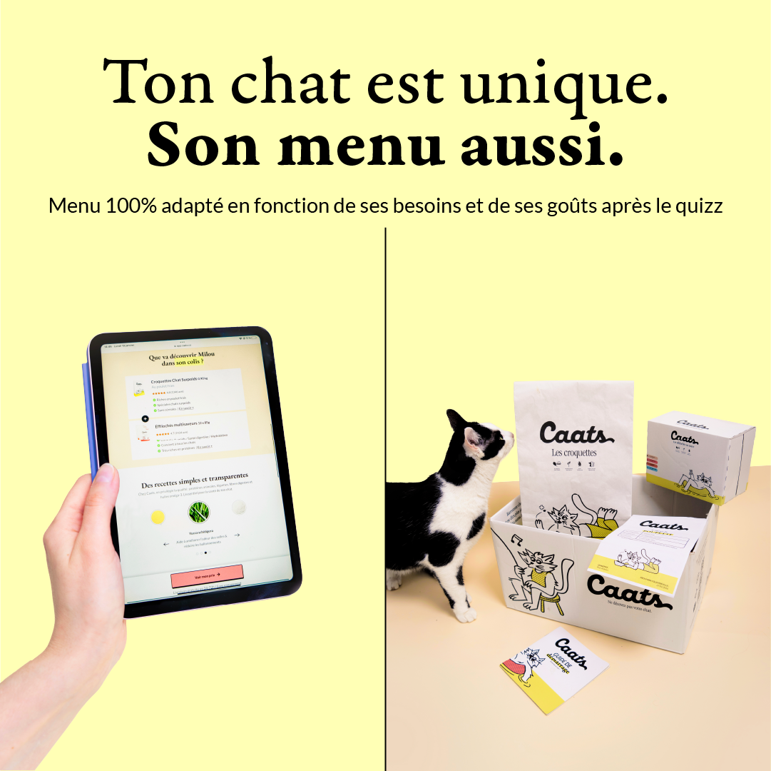 4 croquette stérilisé