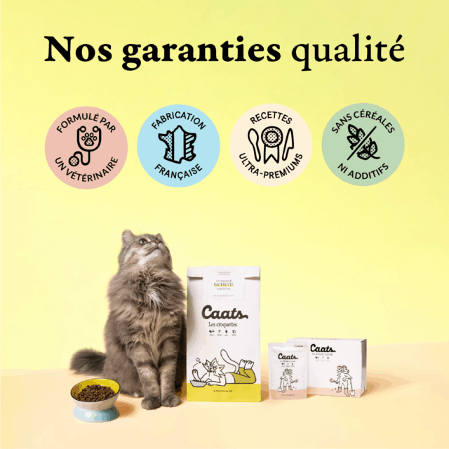 5 croquette stérilisé