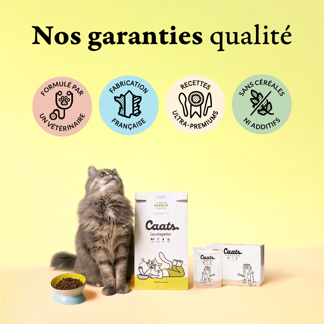 5 croquette stérilisé