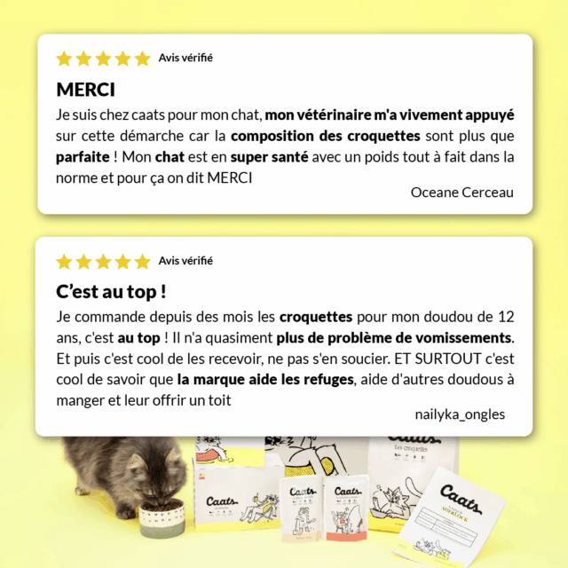 6 croquette stérilisé