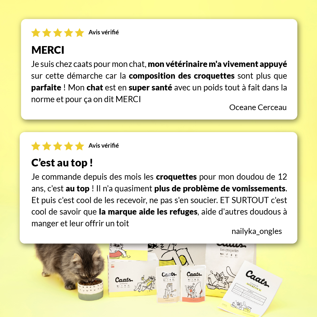 6 croquette stérilisé