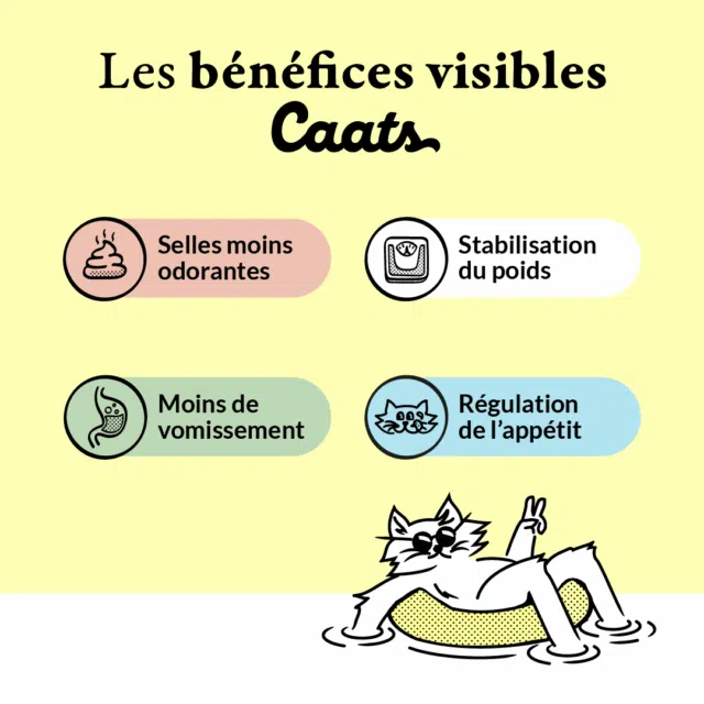8 croquette stérilisé