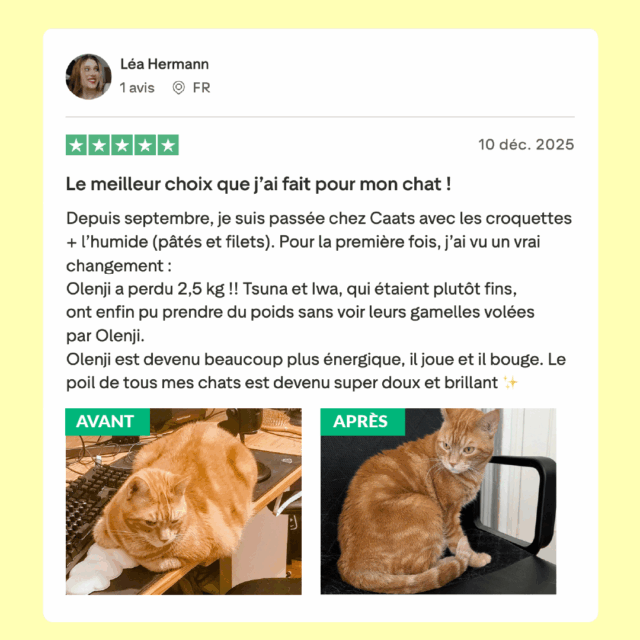 9 croquette stérilisé