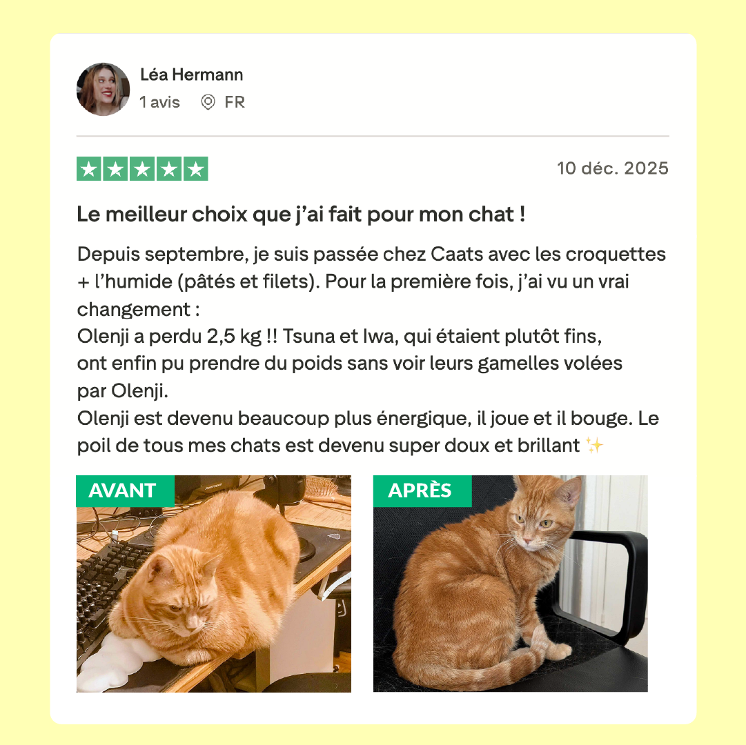 9 croquette stérilisé