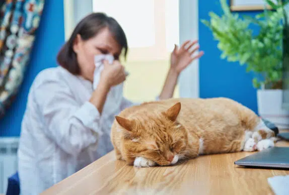 Chat qui pète