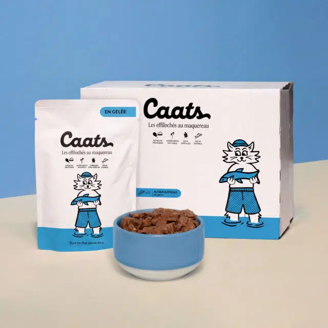 Pack de 12 sachets d'effilochés en gelée au maquereau pour chat Caats avec un bol servi