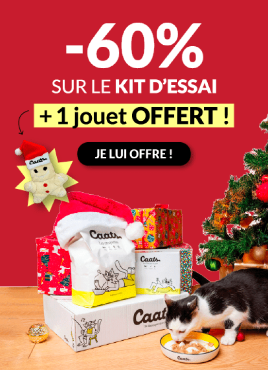 banniere-noel-page-gamme-min