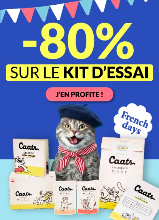 french-days-category